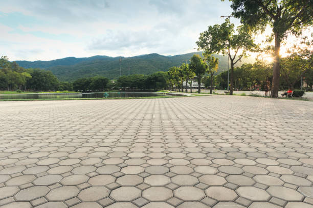 Best Residential Driveway Paver Services  in Fort Valley, GA
